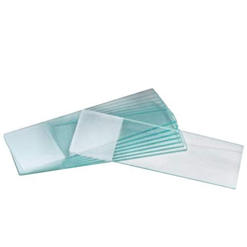 Graham Field Microscope Slides, 1/4 Frosted, Pack of 72