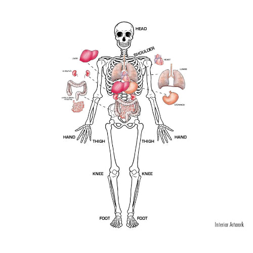 Skil-Care Human Anatomy Gel Pad