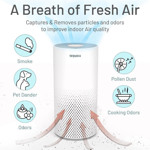 Vive Health Air Purifier