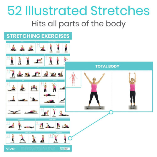 Vive Health Stretching Workout Poster, 52 Exercises for Flexibility and Mobility