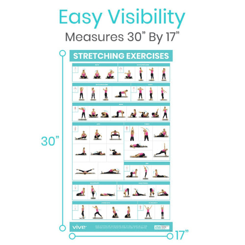 Vive Health Stretching Workout Poster, 52 Exercises for Flexibility and Mobility