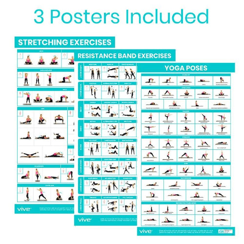 Vive Health Improved Flexibility Poster, Pack Of 3